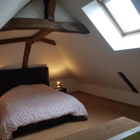 Villa Chez Laiko Wifi Gratuit Beaulieu-sur-Loire Esterno foto