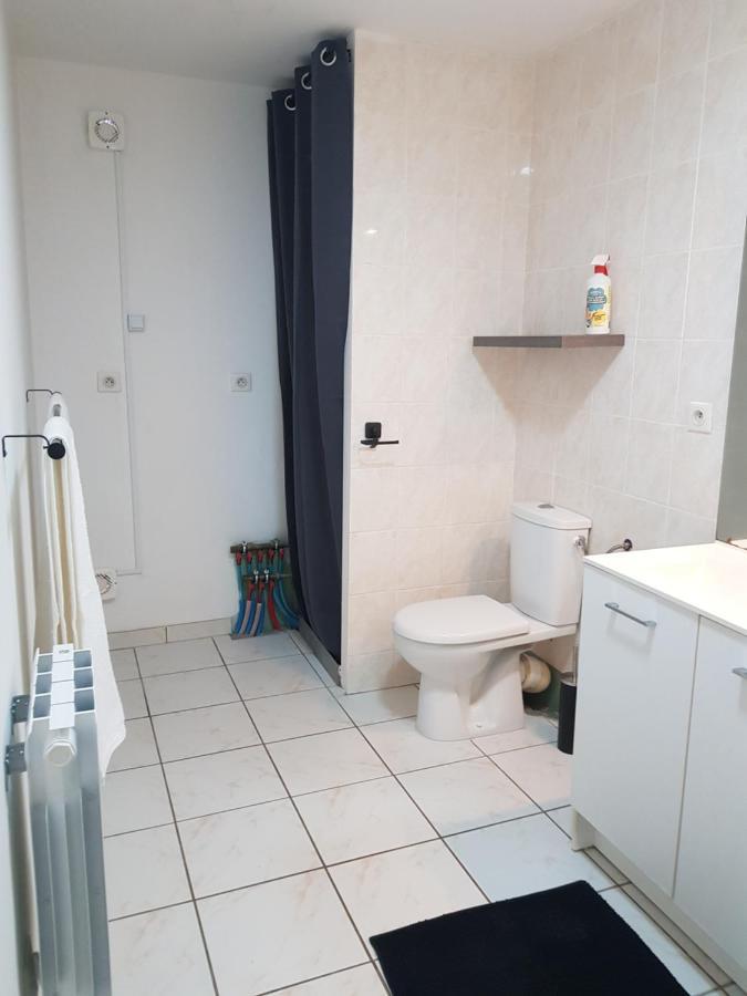 Villa Chez Laiko Wifi Gratuit Beaulieu-sur-Loire Esterno foto