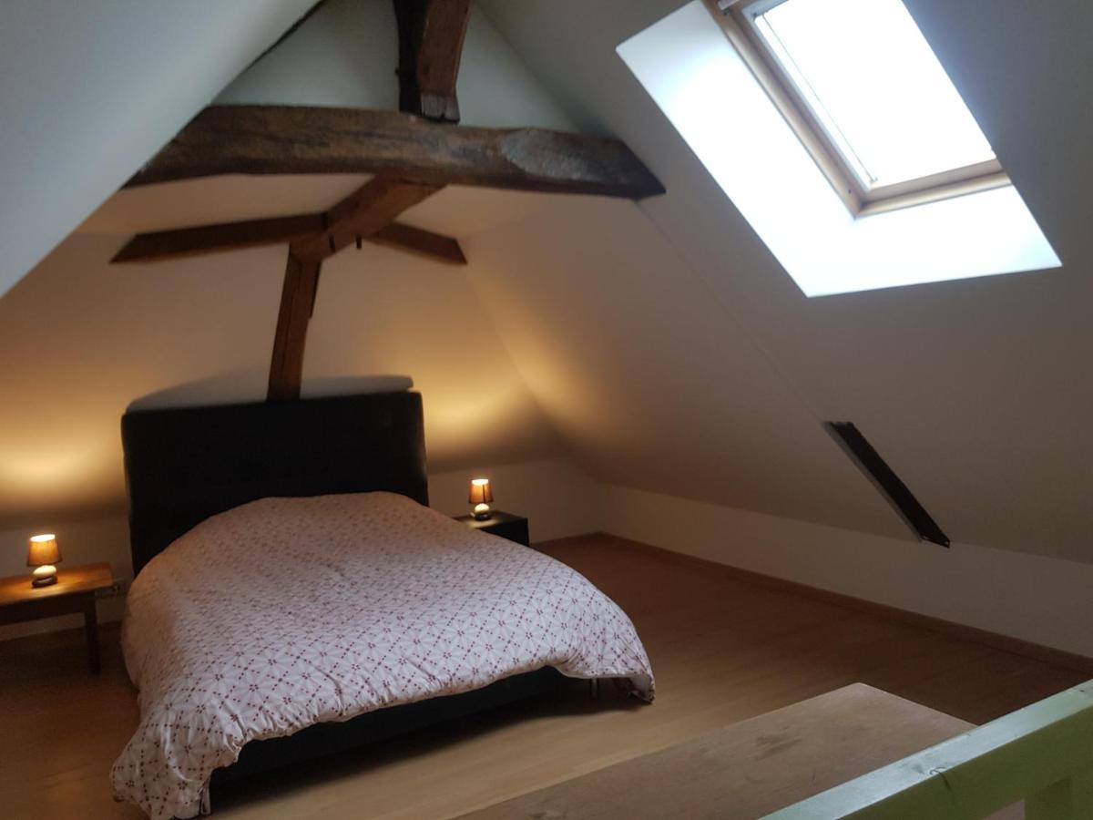 Villa Chez Laiko Wifi Gratuit Beaulieu-sur-Loire Esterno foto